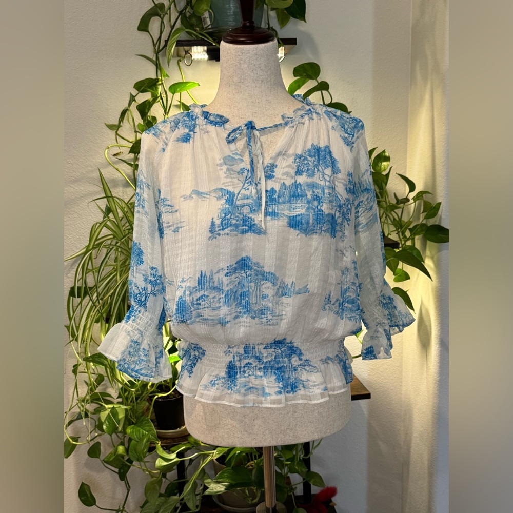 Ann Taylor Blue and White Ruffled Blouse